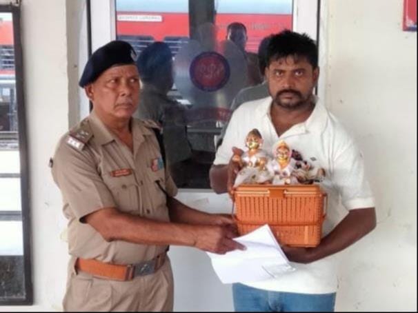 The lost Laddu Gopal was reunited with his devotee