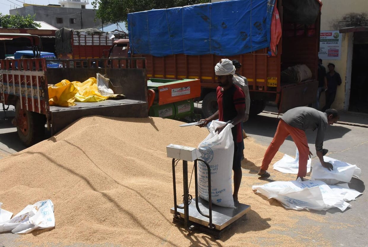 Highest wheat procurement in Gosainganj, lowest in Paharpur-Daulatpur