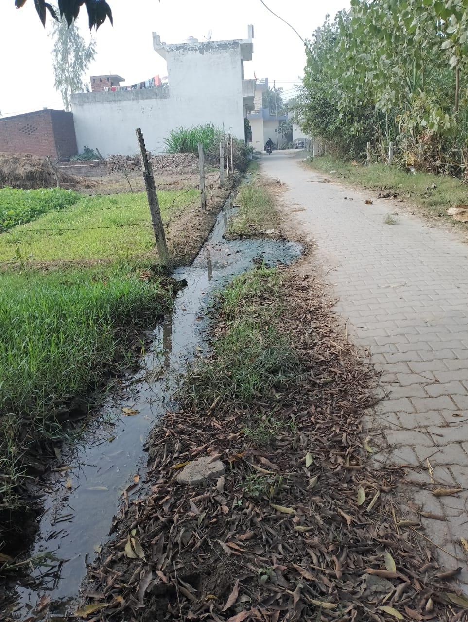 People Troubled by Clogged Drains