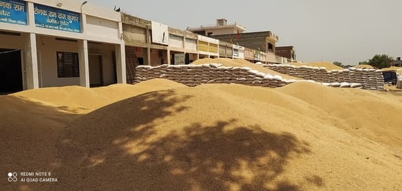 wheat lifting slow in ding mandi