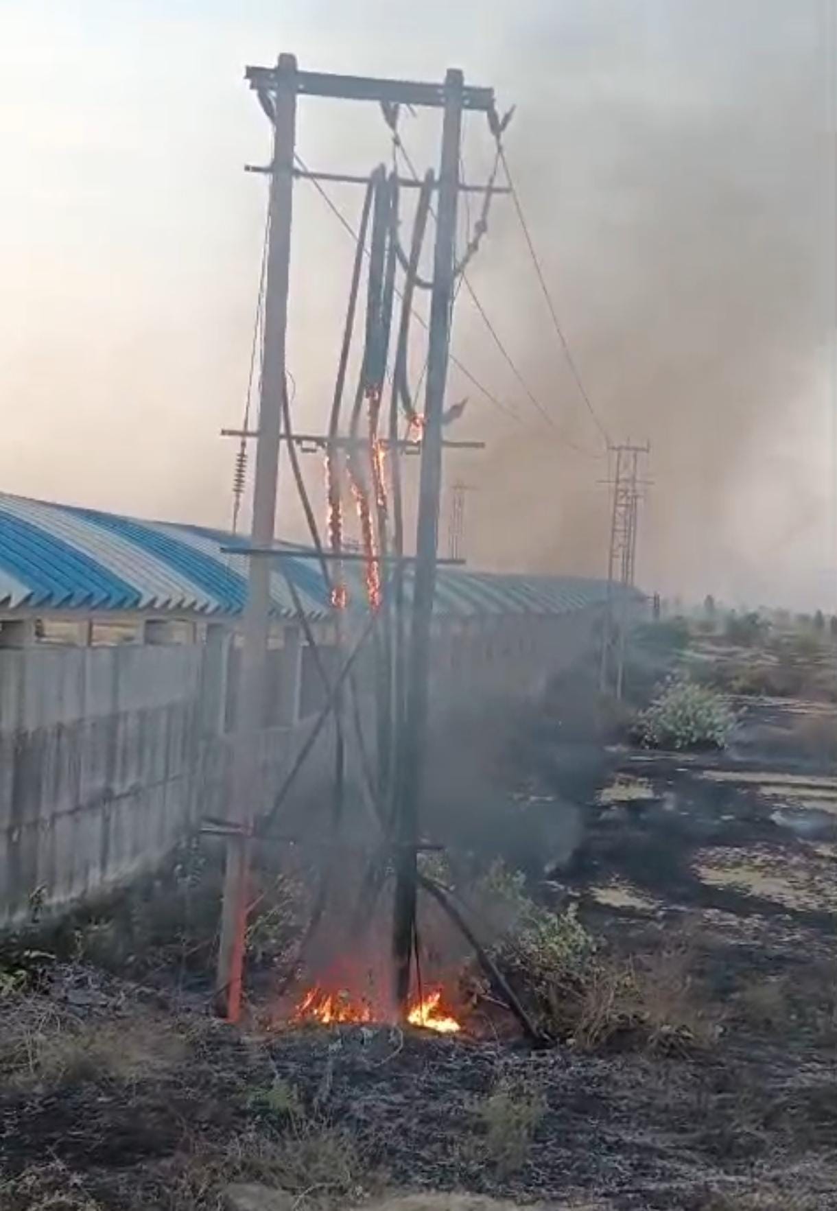 50 acres of land burnt to ashes in a fire near Rajlugadhi underpass