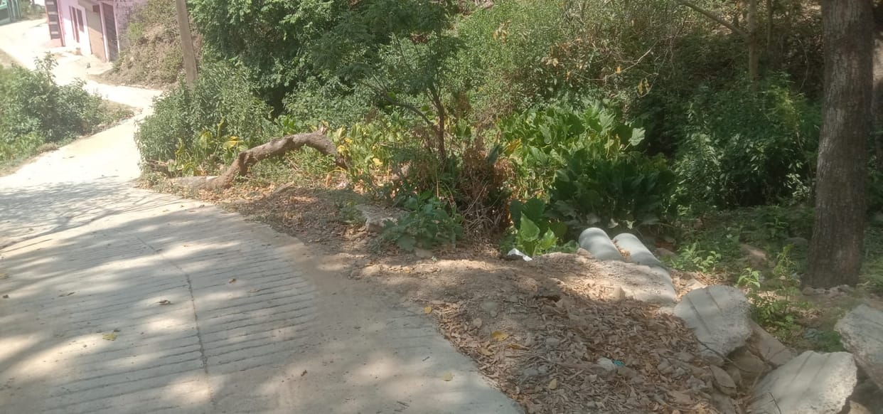 ward 12 nahan parikrma