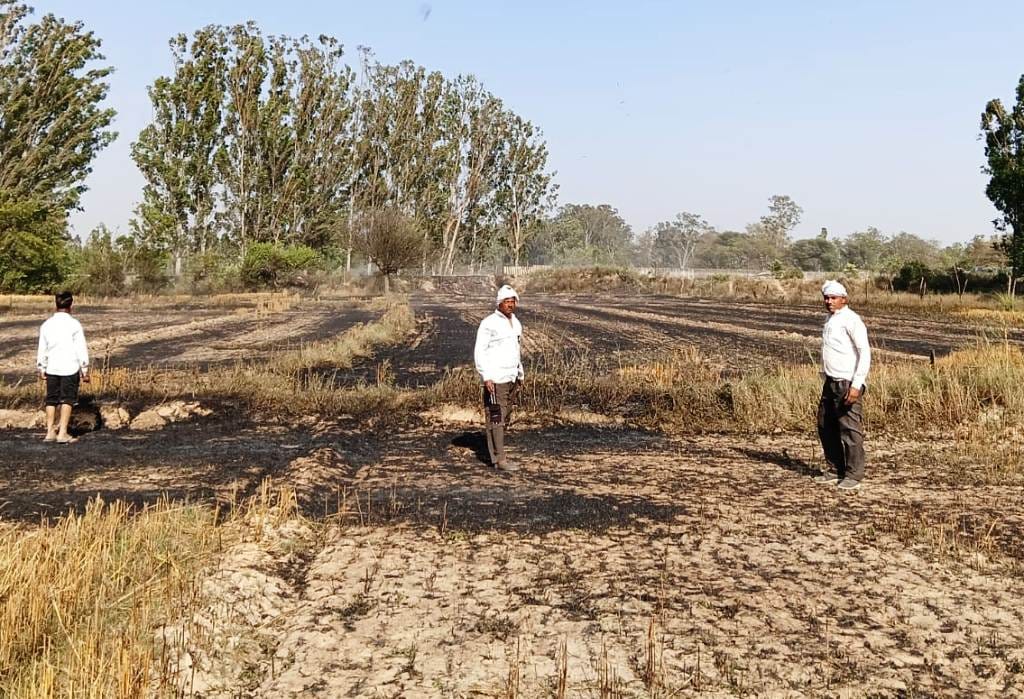 Crops and poplar trees destroyed in fire