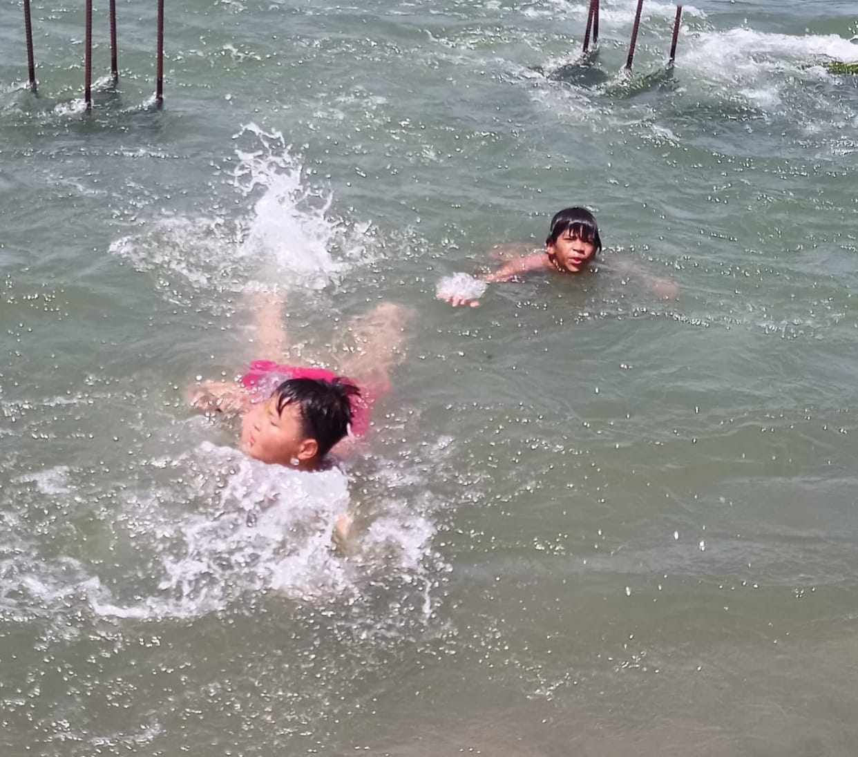 Crowds of bathers in canals surge during the summer; safety arrangements remain absent
