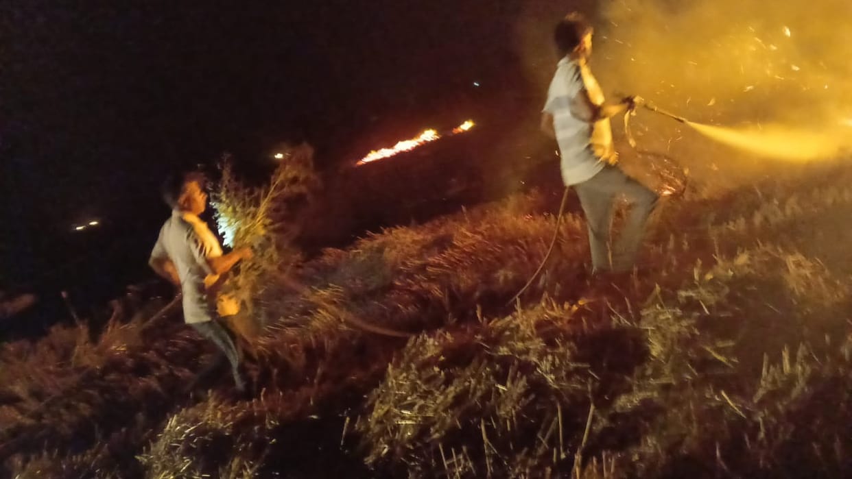 Hundreds of acres of crop residue were reduced to ashes due to the fire, the fire brigade arrived late.