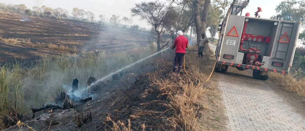 150 small plants and 50 dry trees were destroyed in the fire at the Y junction of Boandkalan and Dadri Distributory