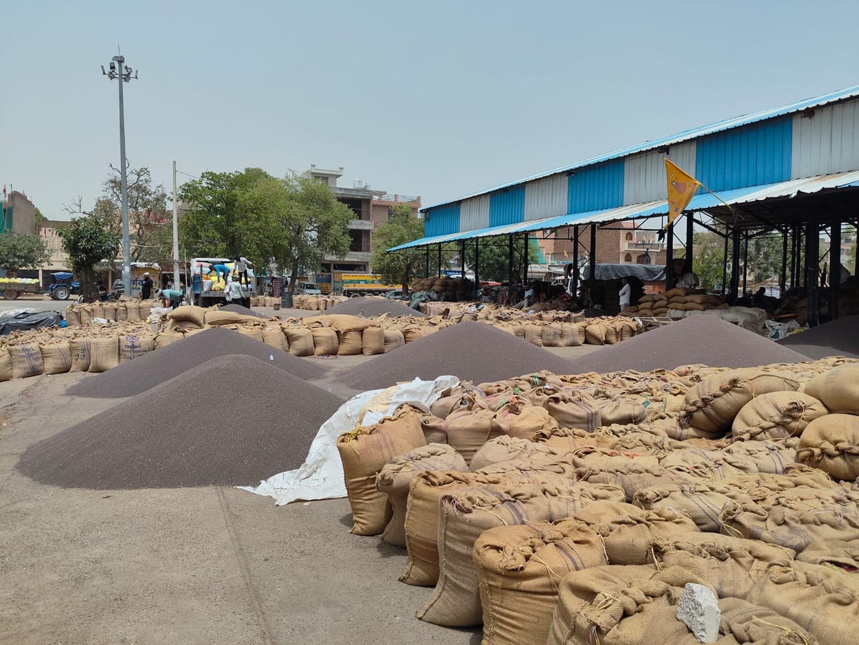 Despite the decrease in arrivals, the grain market is full, lifting is slow.