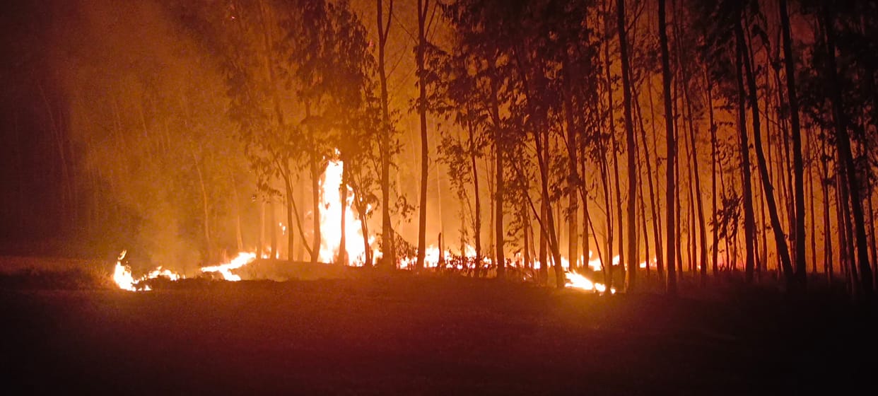 Fire broke out on 65 acres of Panchayat land.