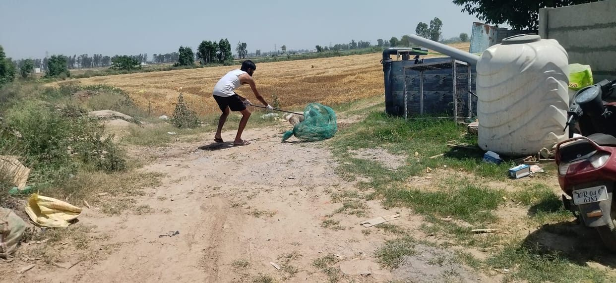 A dog shelter is being built on about two acres in Ramgarh.