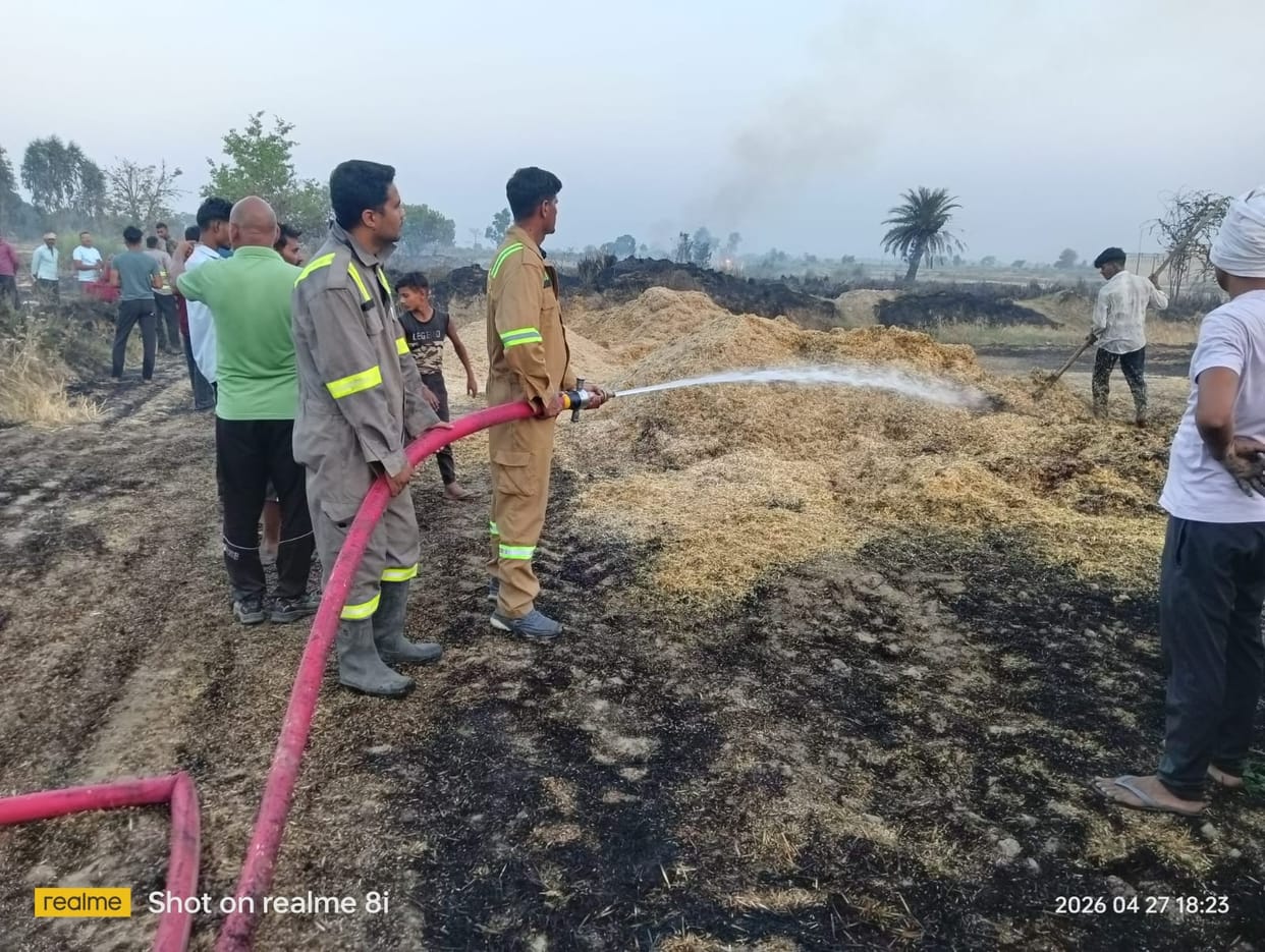 Fire broke out in the field, six bighas of crop burnt to ashes