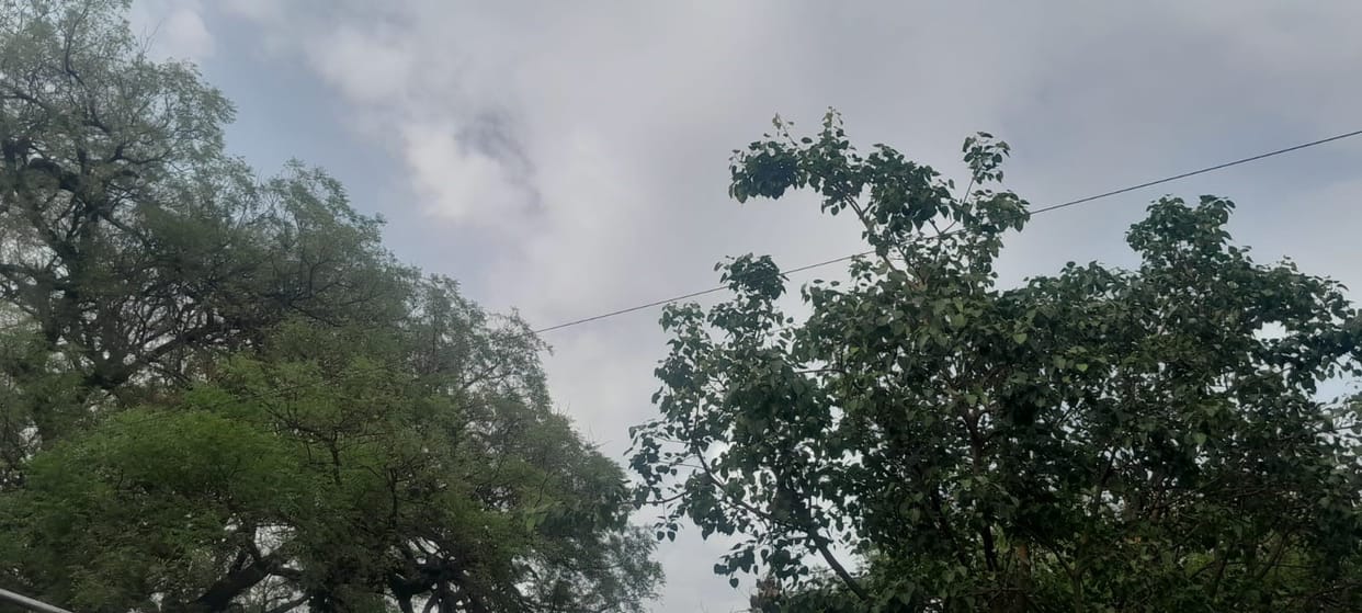 Storm at night, temperature dropped by four degrees in five days