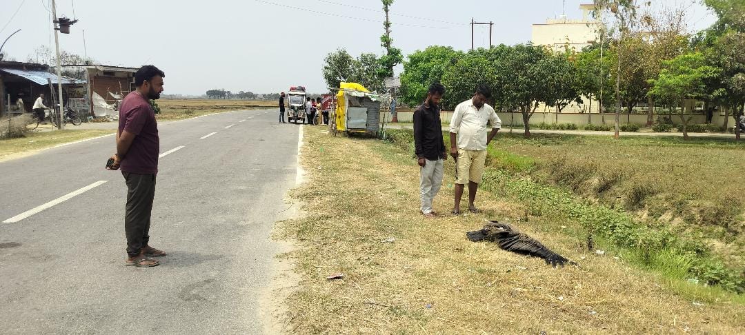 Two vultures flying in the sky suddenly fell to the ground and died.