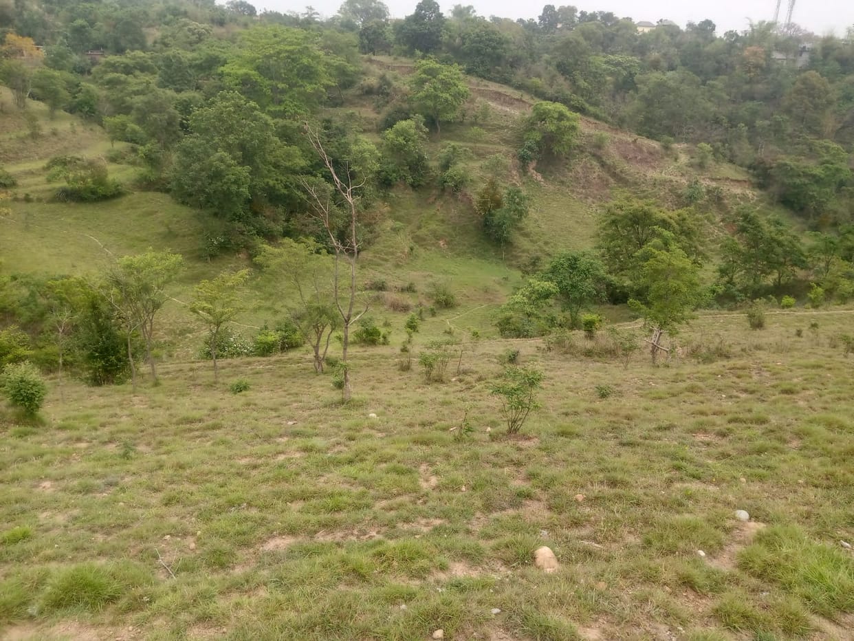 Dumping site selected for garbage disposal in Bhoranj