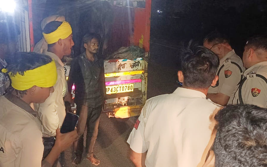 Two bulls and a cow were rescued from a pickup, FIR filed against the driver on the complaint of the cow protection team