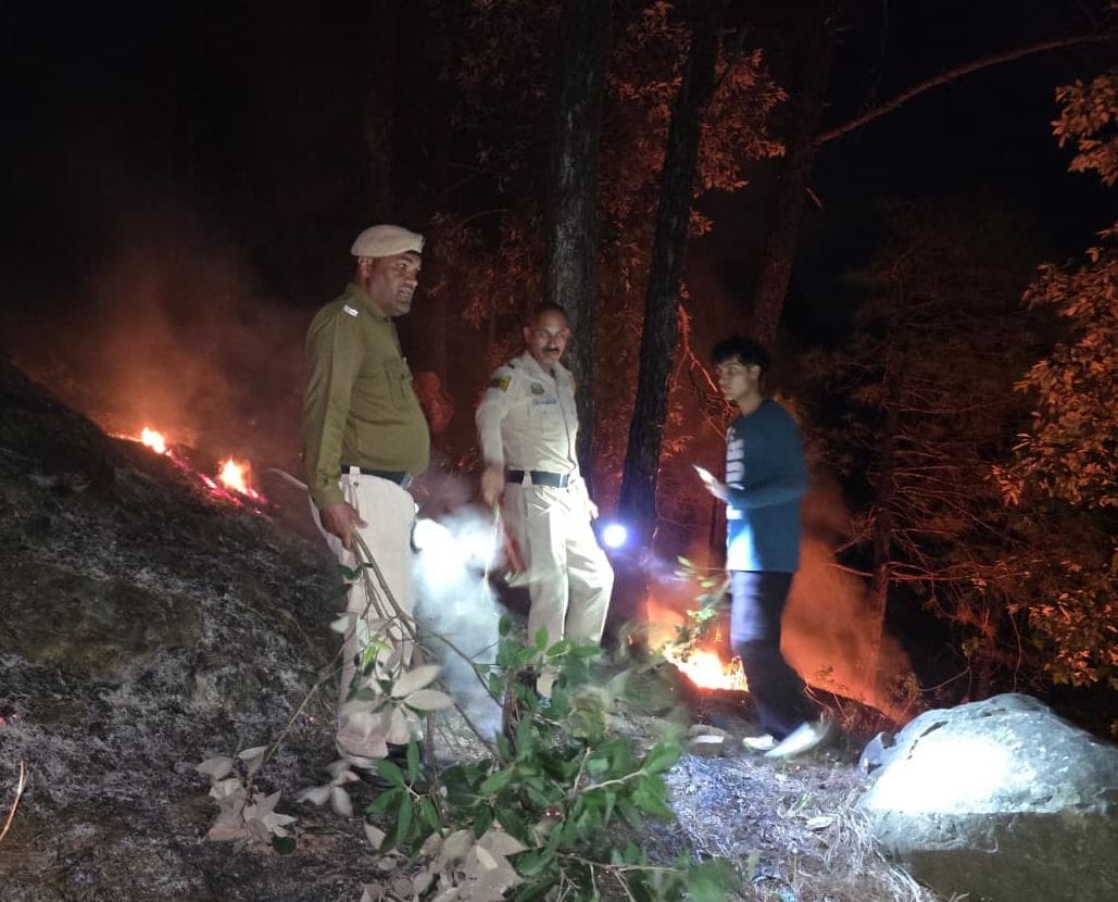 The forest in Jogindernagar erupted at midnight.