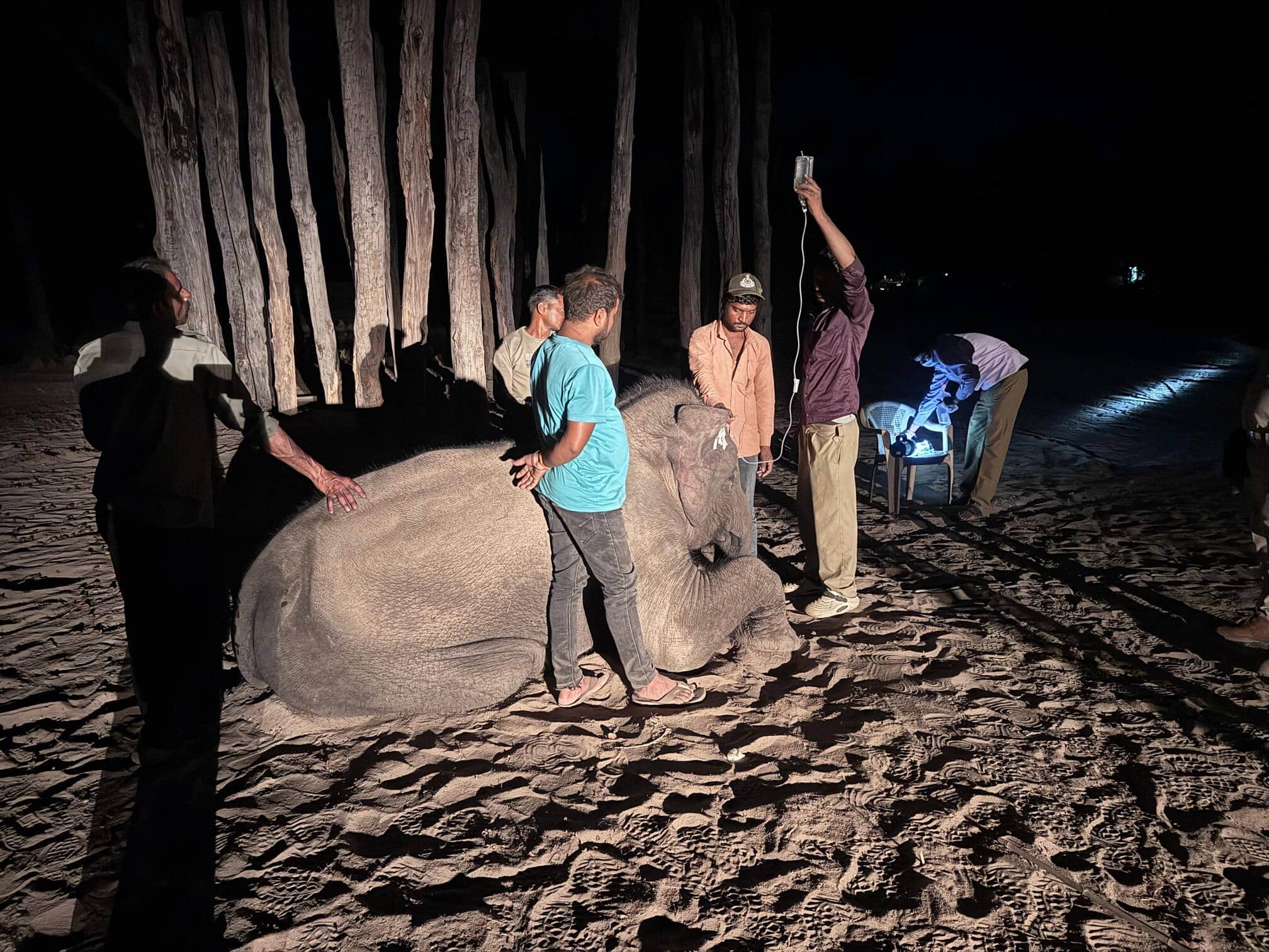 बांधवगढ़ में गायत्री की रहस्यमयी मौत से उठे सवाल।