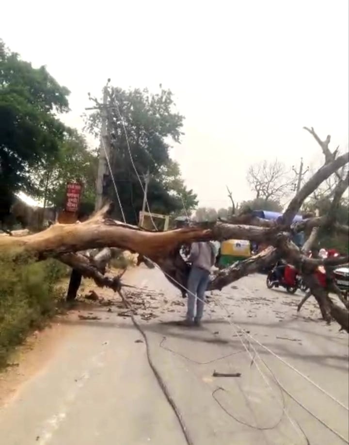 Electricity poles were broken in the storm, causing power outages in several villages.