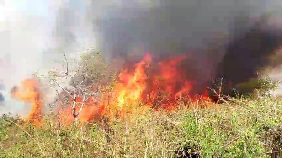 The flames of fire rising from Chitrawara mountain reached the settlement.