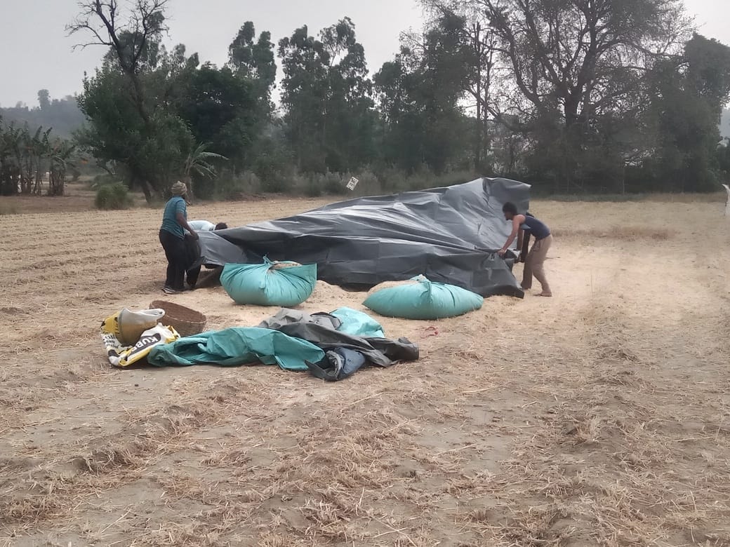 Rain brings relief from scorching heat, farmers suffer heavy losses