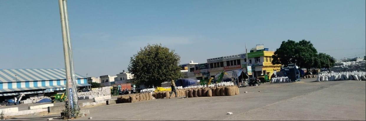365,000 MT of wheat remains under threat of rain
