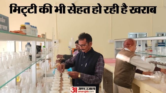 Unbalanced Fertilizer Use Reducing Crop Yield, Experts Advise Soil Testing