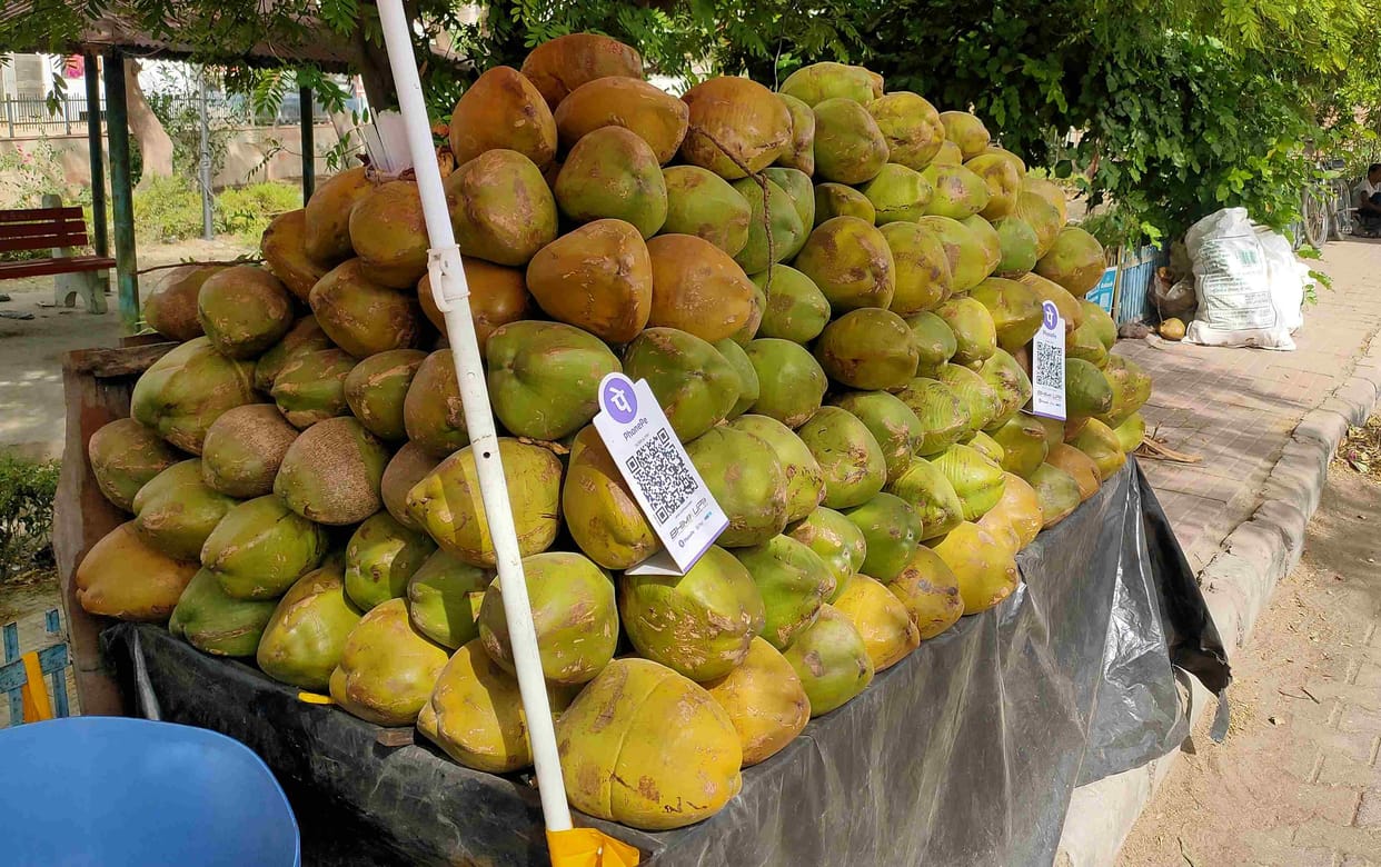 The coolness of coconut provides a boon for freedom from diseases.