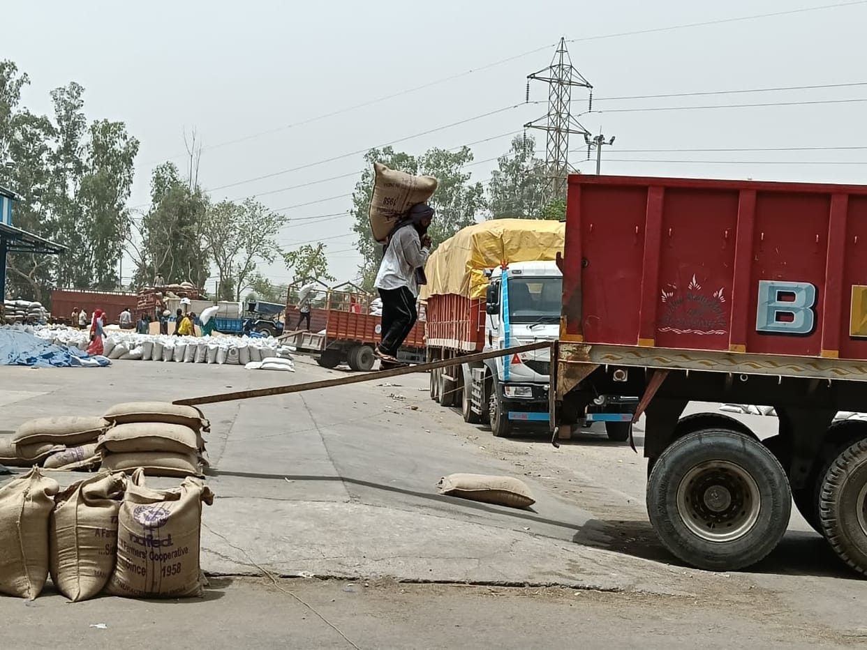 Payment of Rs 142.40 crore to 12,658 farmers stuck