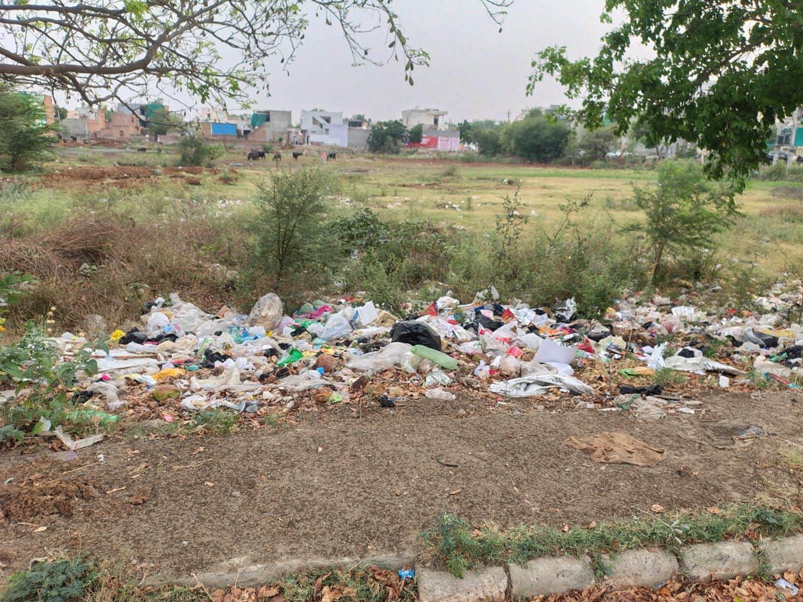 30जेएनडी25: सेक्टर नौ के खाली प्लाट में लगे गंदगी के ढेर। स्रोत : सेक्टरवासी