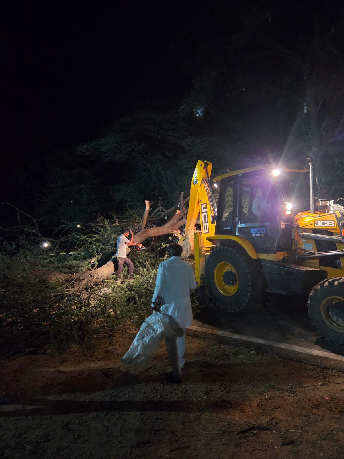 Heavy destruction in the district due to storm, 201 electricity poles fell, 450 trees collapsed