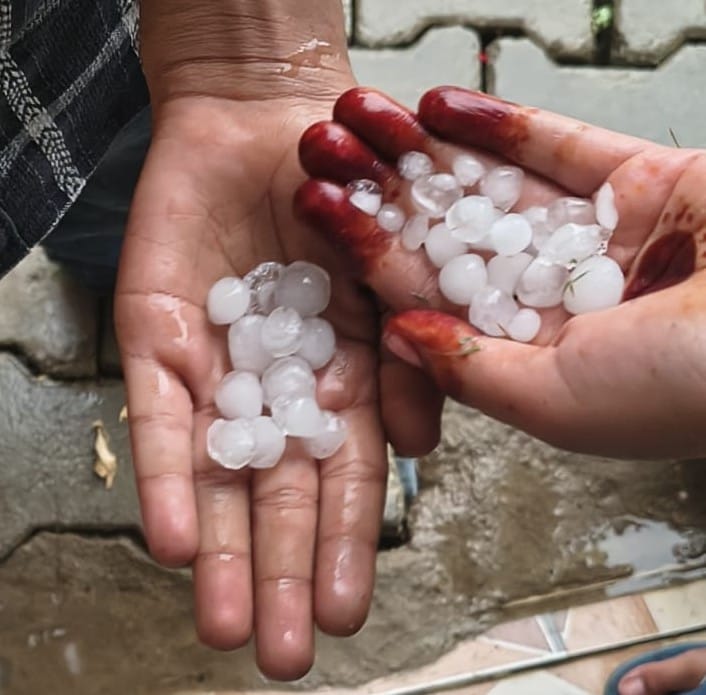 Hail falls along with rain; storm uproots tin sheds, tents, and trees.