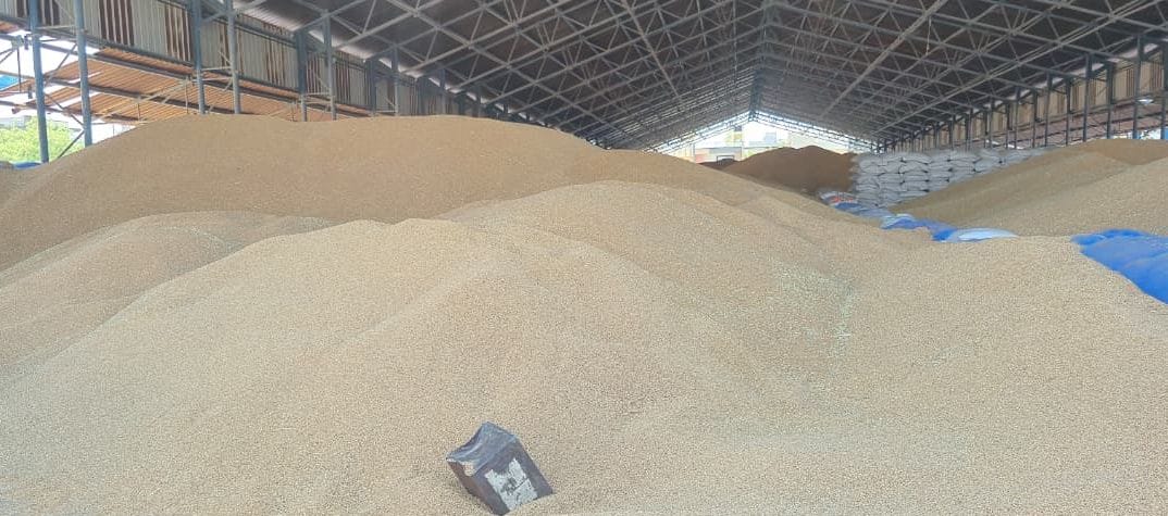 85% of wheat purchased in the district is stored in the open, increasing farmers' concerns due to the weather.