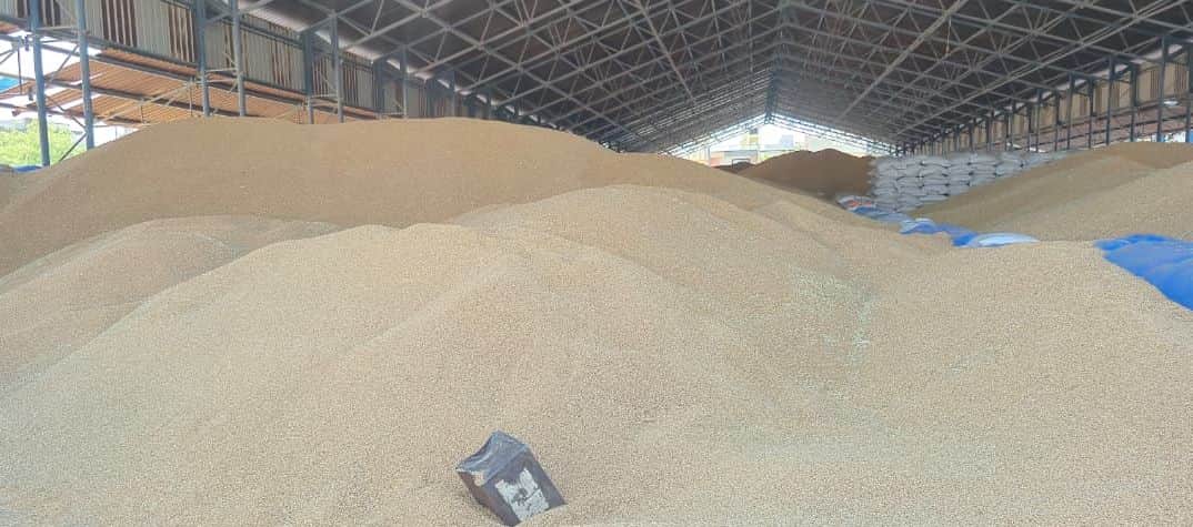 भिवानी अनाज मंडी में रखा गेहूं। 