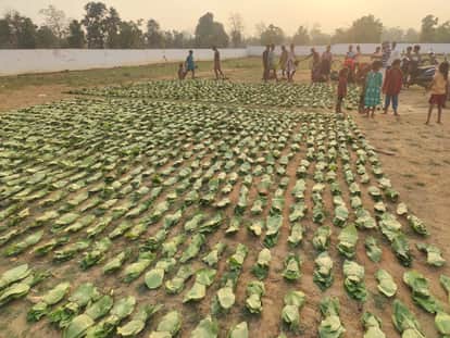 ESMA implemented for three months due to strike of managers regarding Bijapur Tendupatta