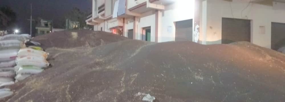 ढिगावा अनाज मंडी में पड़ी  सरसों की ढेरी 