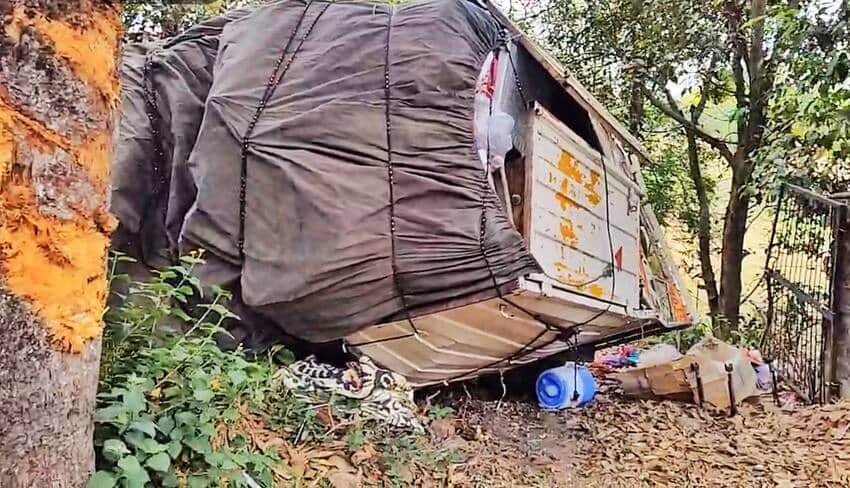 ढलियारा में पेड़ से टकराकर पलटा पिकअप ट्राला।स्रोत : जागरूक पाठक
