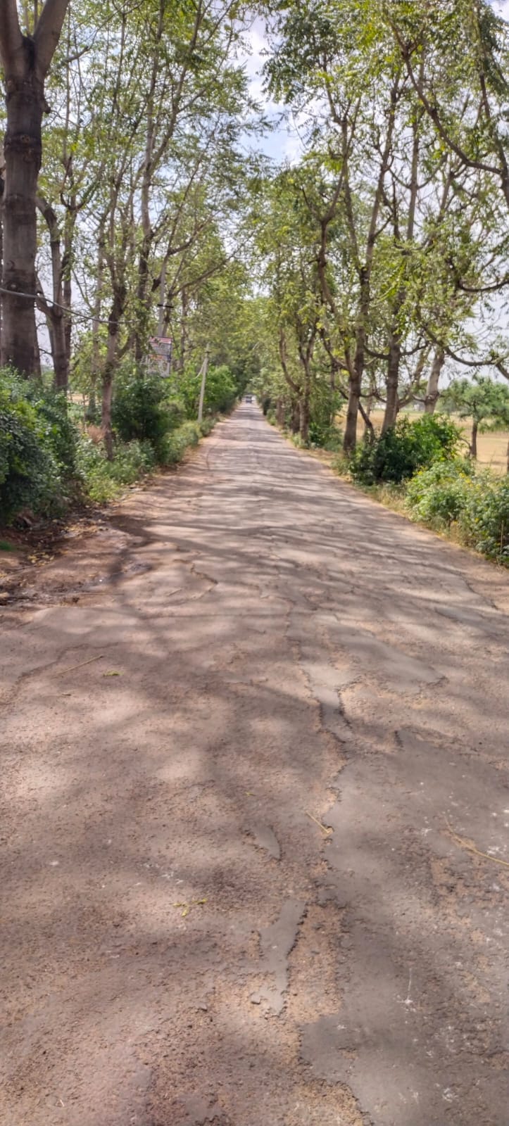 100-metric-ton weighbridges will be constructed at the mandis in Ateli, Narnaul, and Bawal.