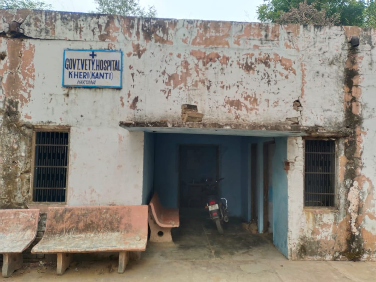 Treatment in ruined animal hospital, risk of accident remains