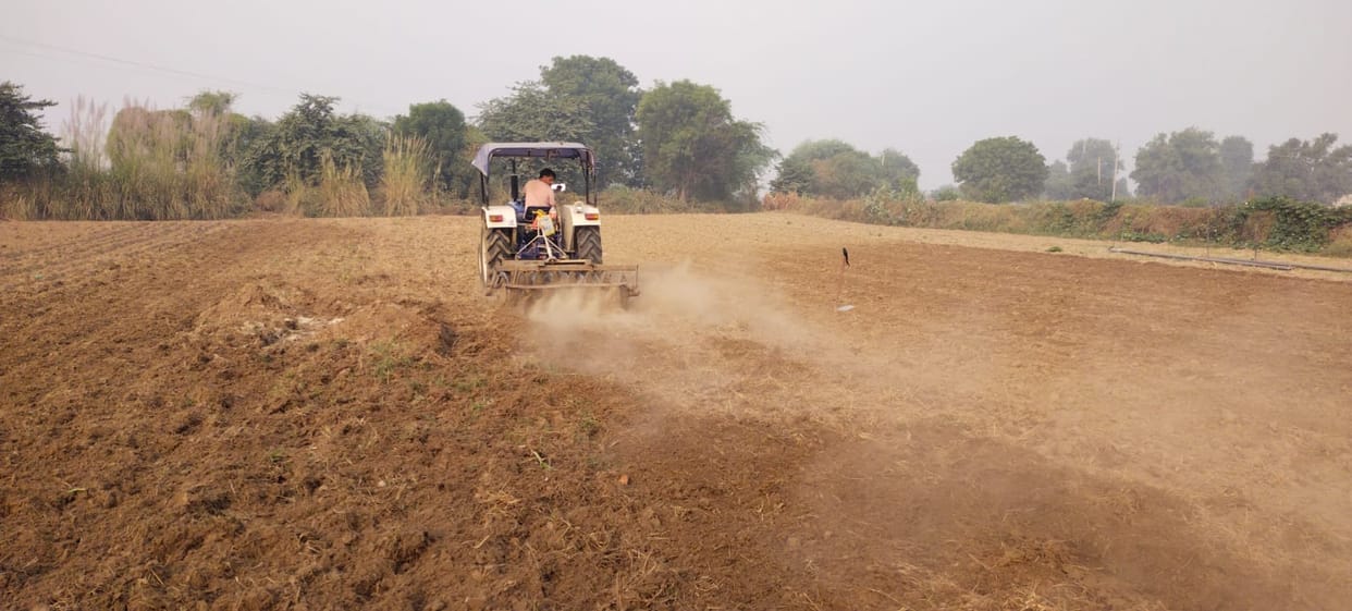 The weather will remain suitable for cotton sowing until May 15.