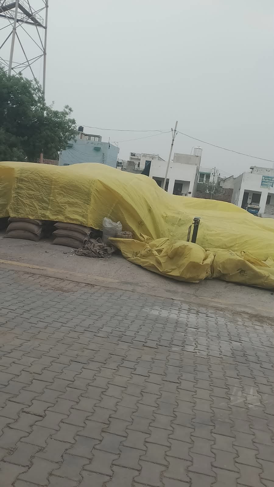 Wheat is covered with tarpaulin to prevent it from getting wet.