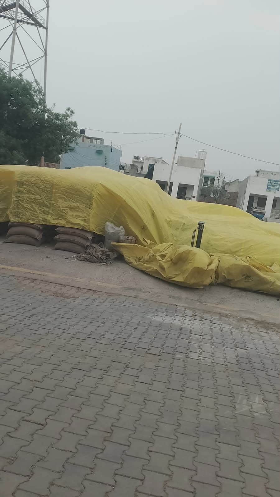 फोटो :: सोनीपत के खरखौदा स्थित अनाज मंडी में बारिश की आशंका के बीच खुले आसमान तले रखे गेहूं पर
