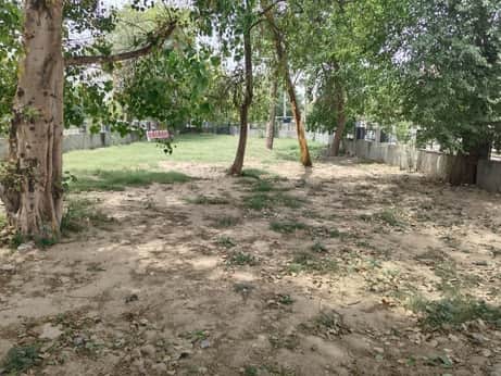 फतेहाबाद के मॉडल टाउन में बनी ग्रीन बेल्ट संवाद