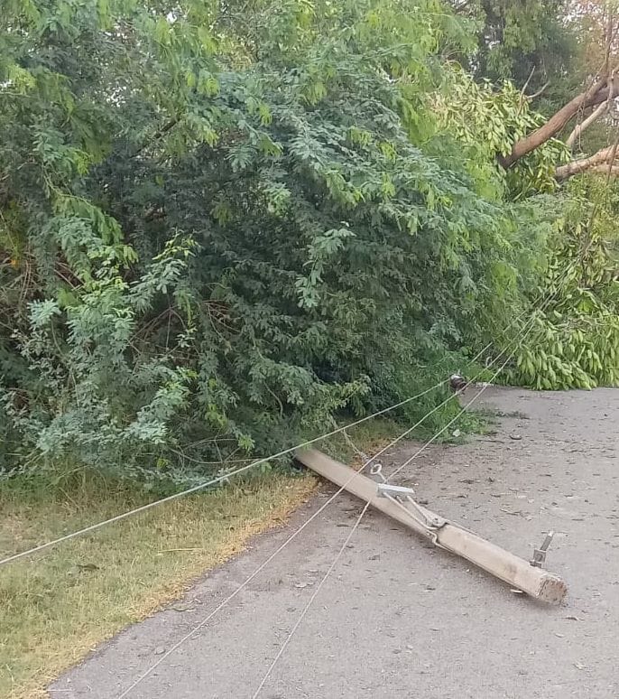 The storm caused power outages, with over 100 poles and wires broken.