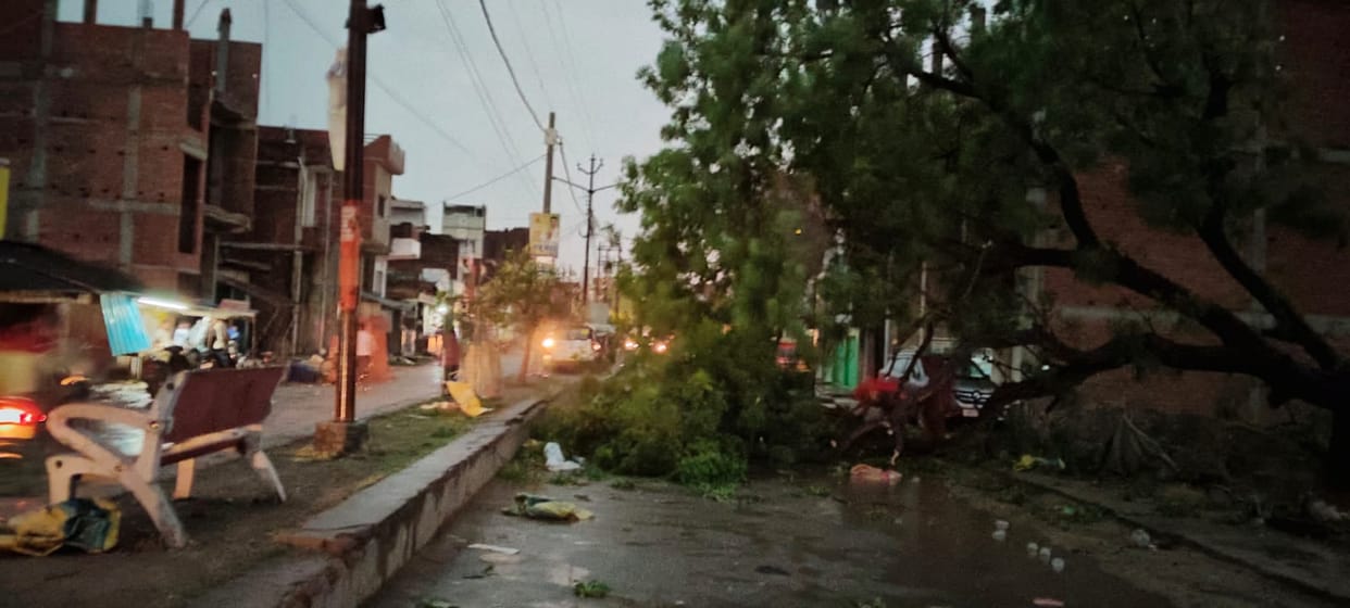 Three Dead After Trees and Walls Collapse During Storm and Rain