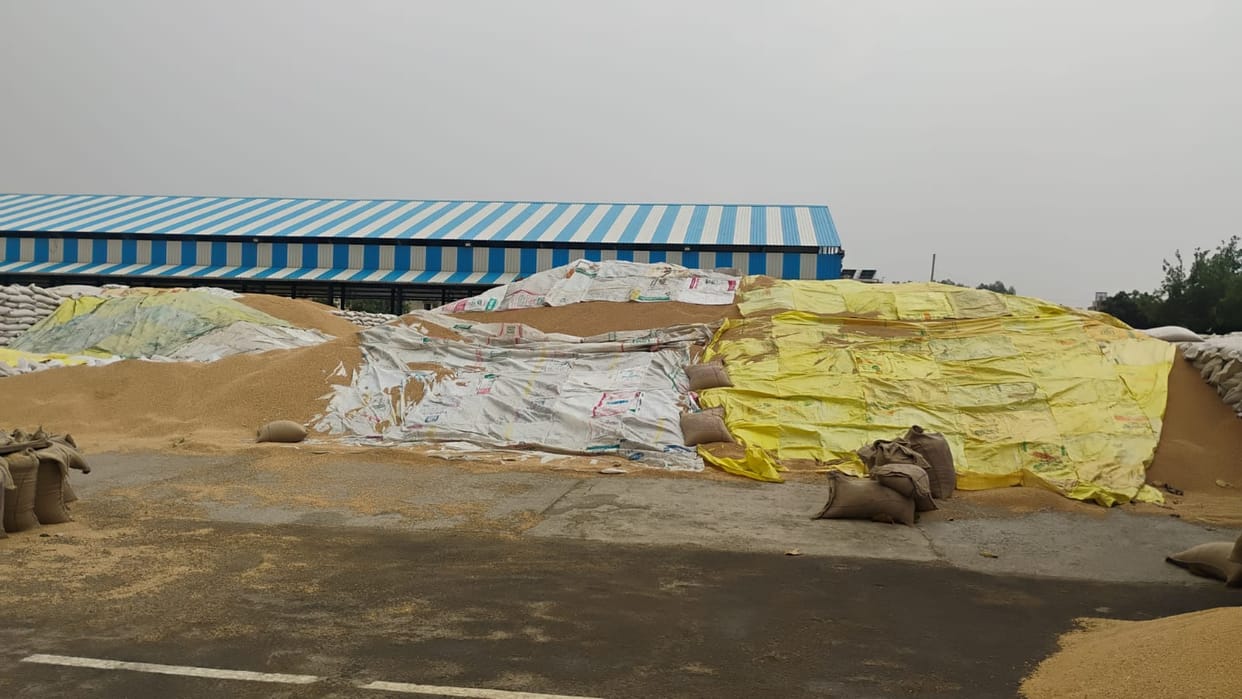 Drizzle brings relief from scorching heat; risk of wheat getting soaked in the market.
