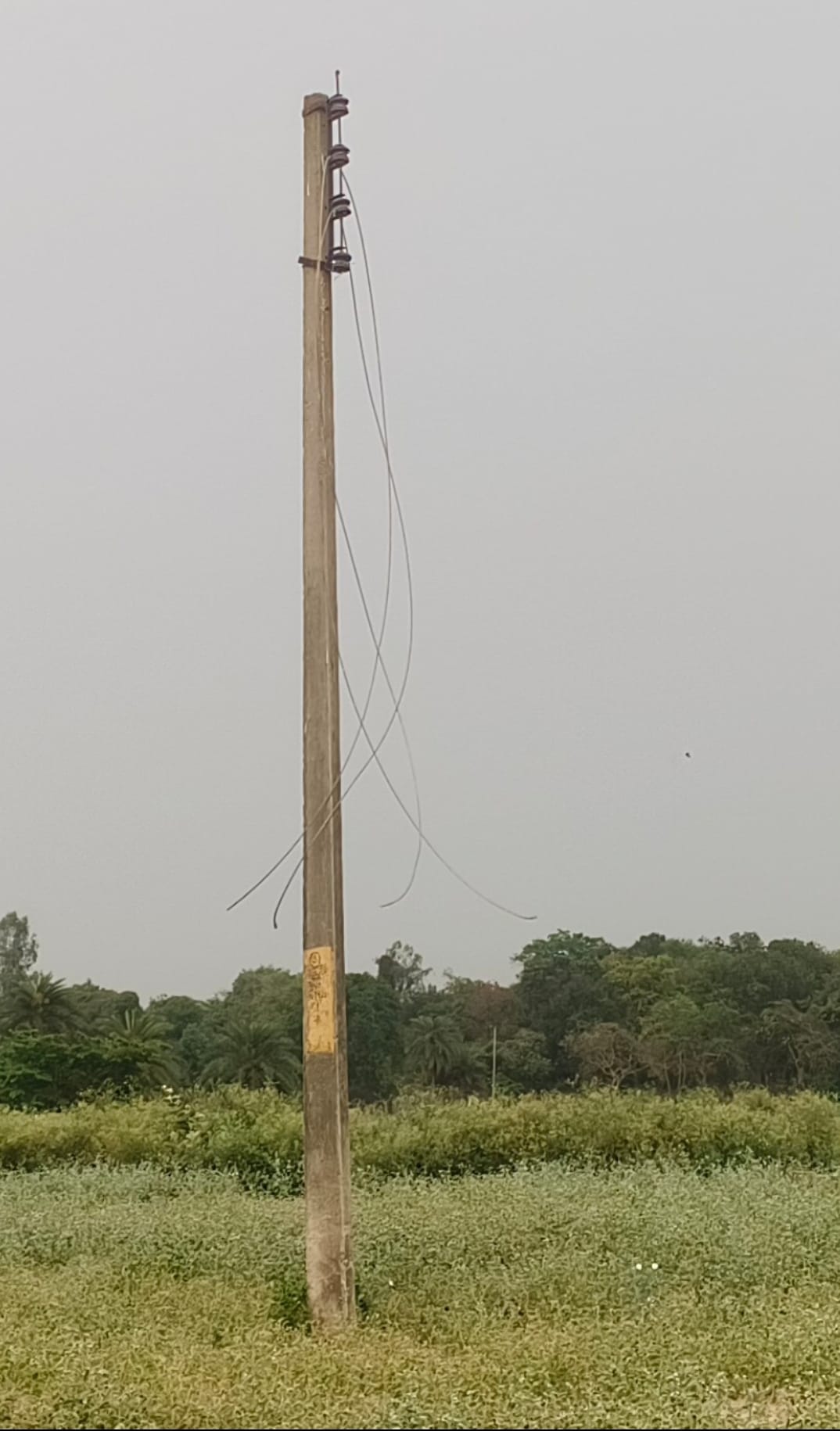 Wires stolen from nine poles in Diguria, tubewells stopped working