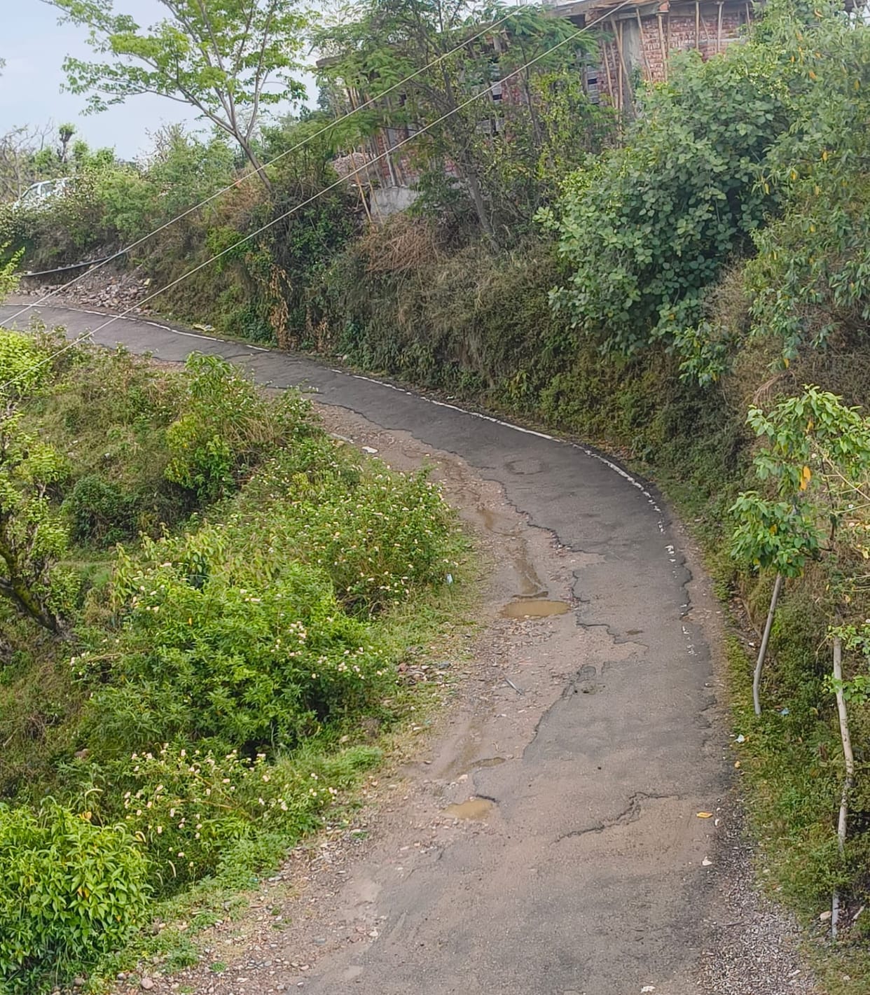 Uhal-Tian via Ladiyar road in bad condition, risk of accident increases