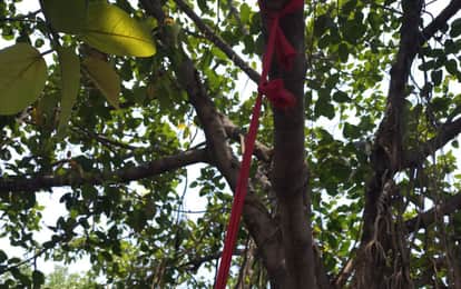 Youth Who Went to Wedding Found Hanging from Tree Deceased Was Driver