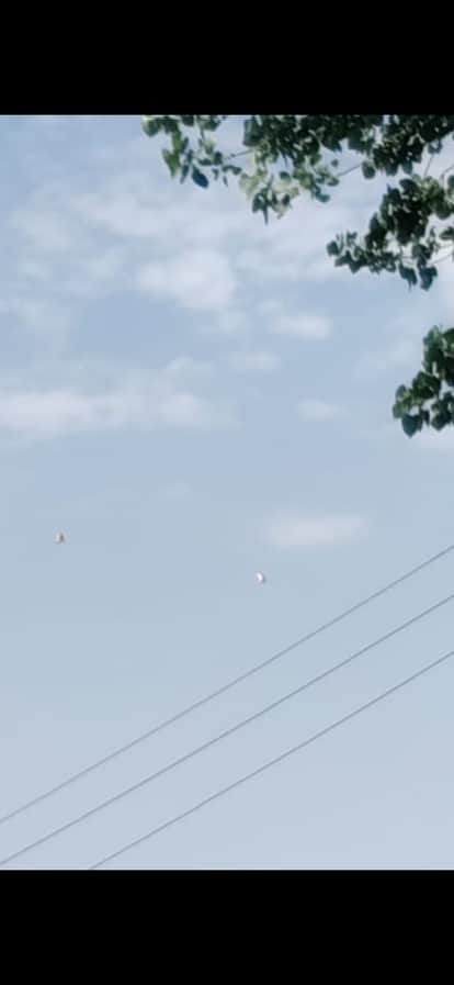 Pigeon-racing betting is going on in code words, WhatsApp has become the hub.