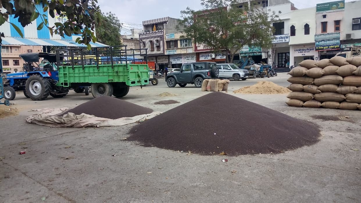 Private purchases fetched a price higher than the MSP, and government procurement of mustard could not take place