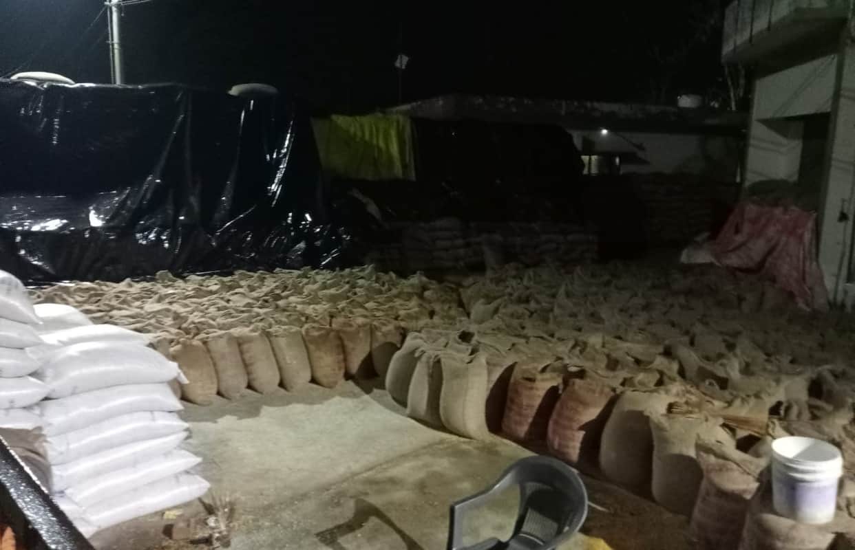 Tarpaulin was insufficient, wheat got soaked in the rain
